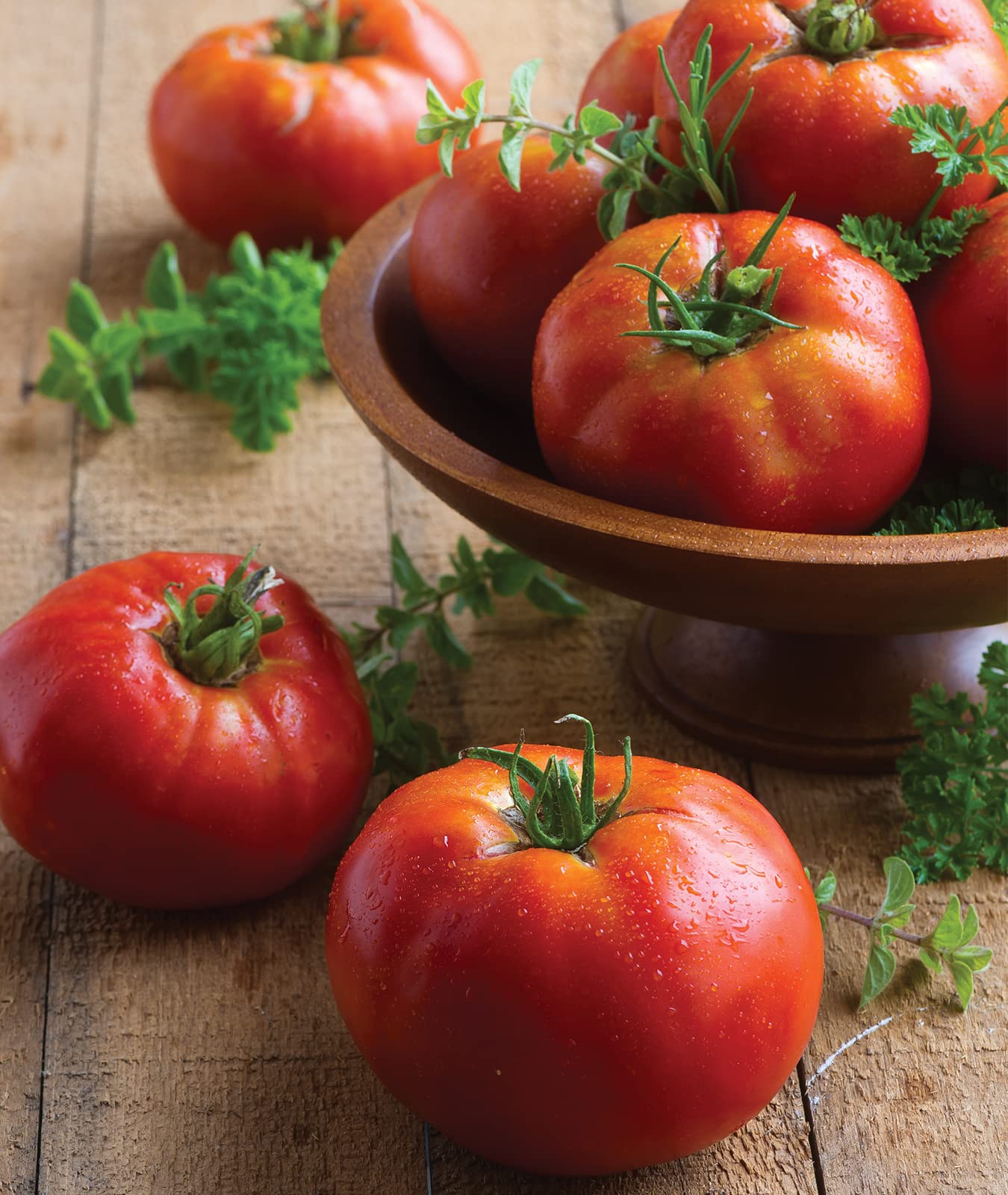 Burpee seed packet-back view highlights easy indoor sowing and outdoor transplanting.