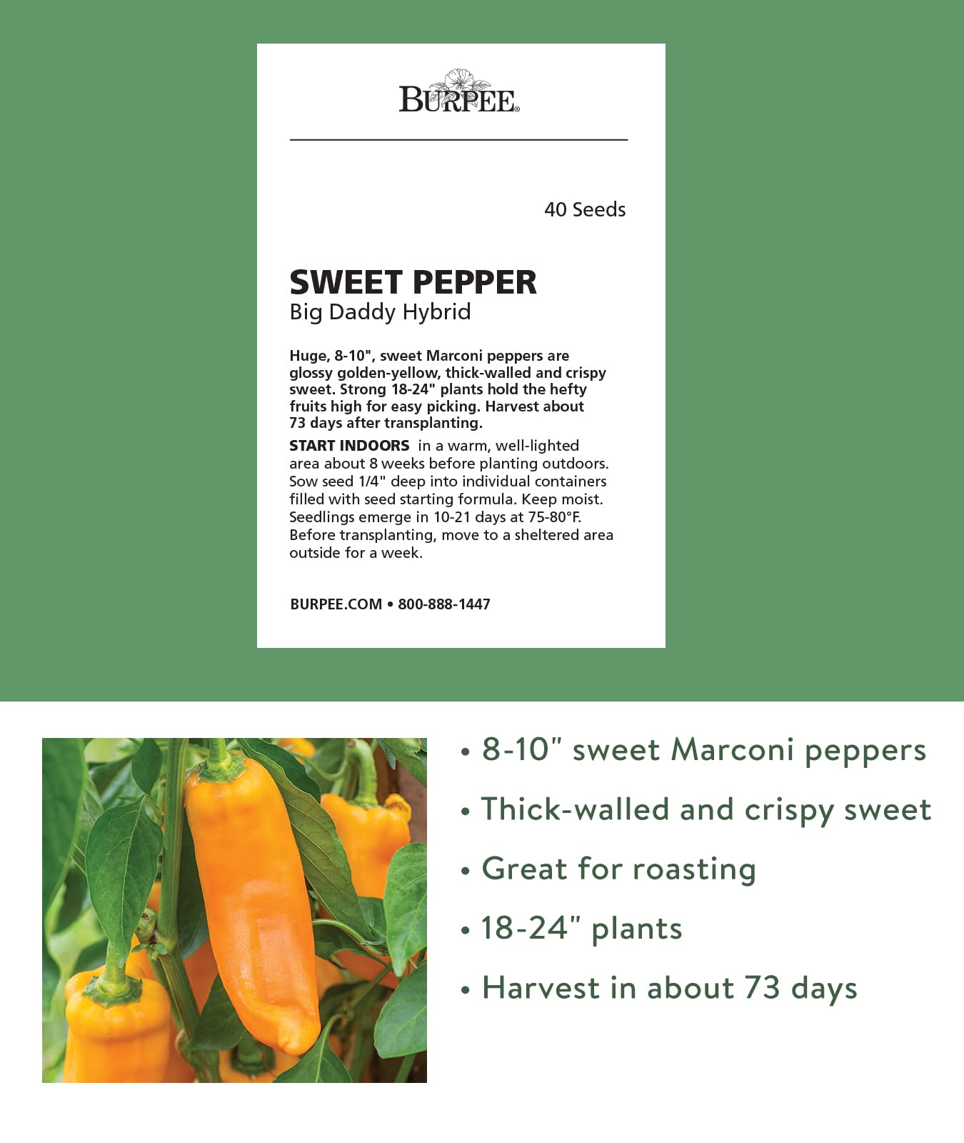 Big Daddy yellow peppers grow to 8-10 inches, ideal for roasting and fresh snacking.