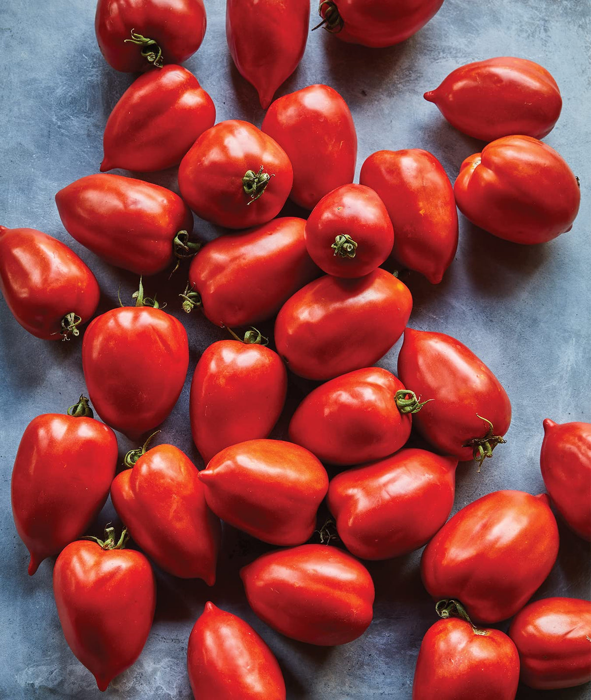 Burpee Big Mama tomato fruit 5-inch size, ideal for sauces and canning