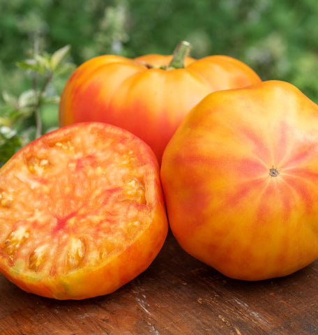 Burpee Big Rainbow harvest-ready tomatoes arranged on platter.