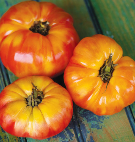 Burpee Big Rainbow marble flesh tomato close-up highlighting marbling.