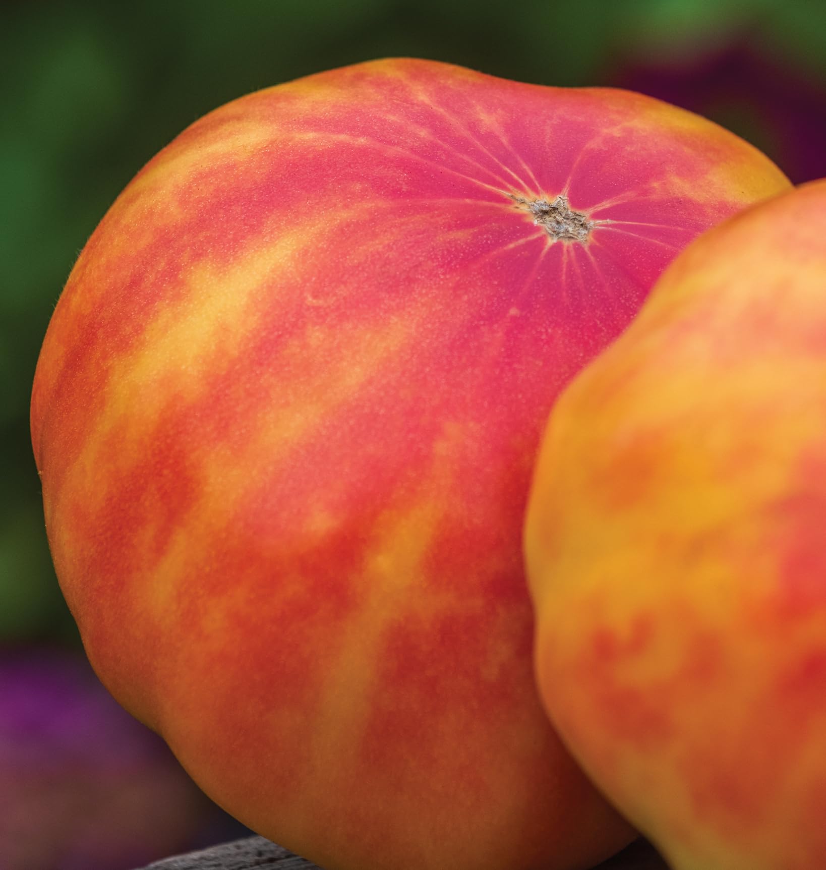 Burpee Big Rainbow seed packet with growing guidance for gardeners.
