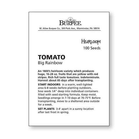 Burpee Big Rainbow tomatoes on the vine, ready to pick.