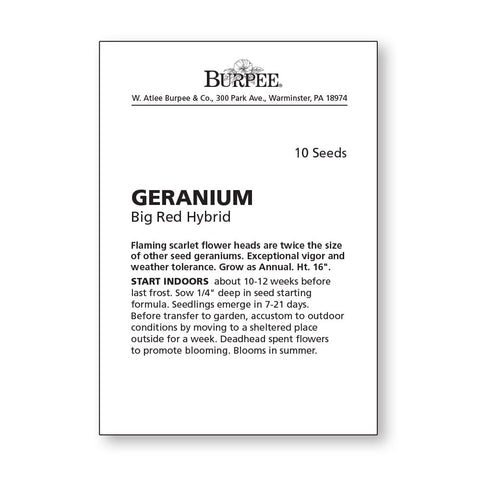 Burpee Big Red Geranium seeds in packet ready to sow for annual color