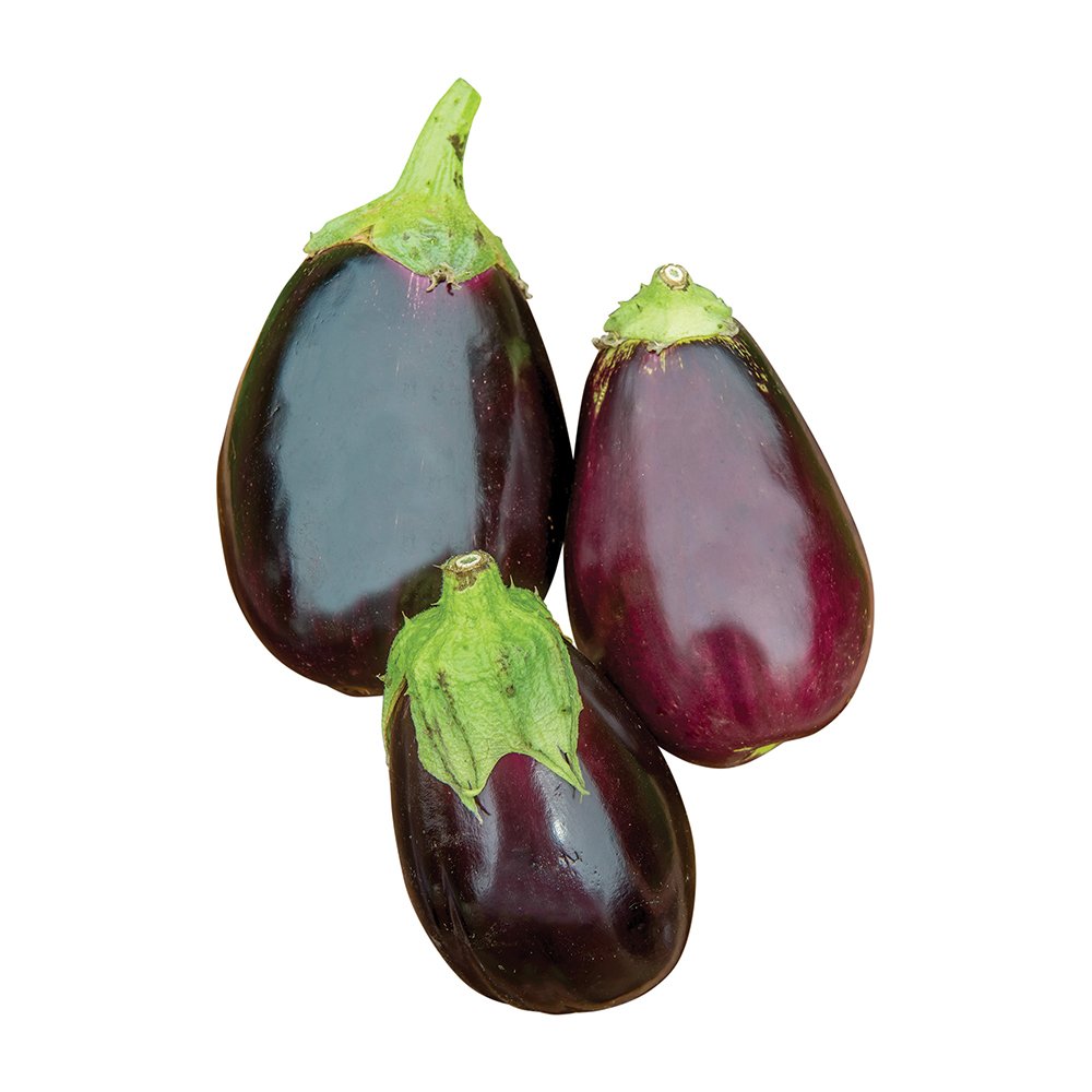 Burpee Black Beauty seeds pack for organic planting with reliable germination.