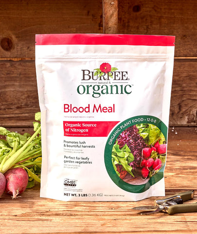 Burpee Blood Meal OMRI Listed badge visible; organic nitrogen option.