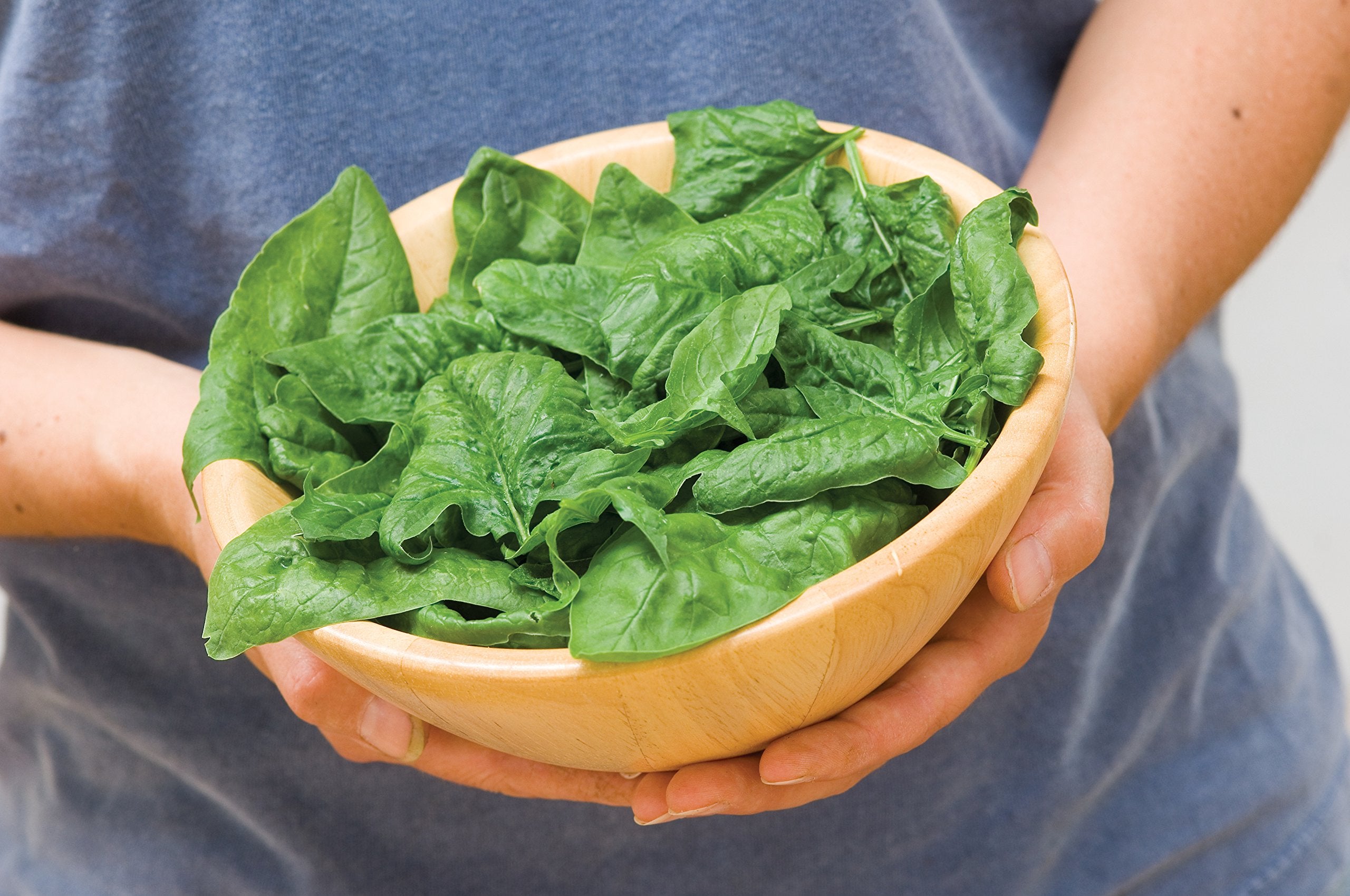 Burpee Bloomsdale spinach seeds seed packet displaying healthy leaves and thick texturing