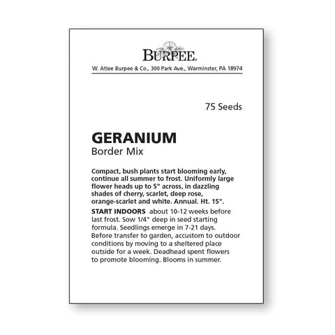 Burpee Border Mix Geranium flowers bloom close-up showcasing summer color for sunny gardens