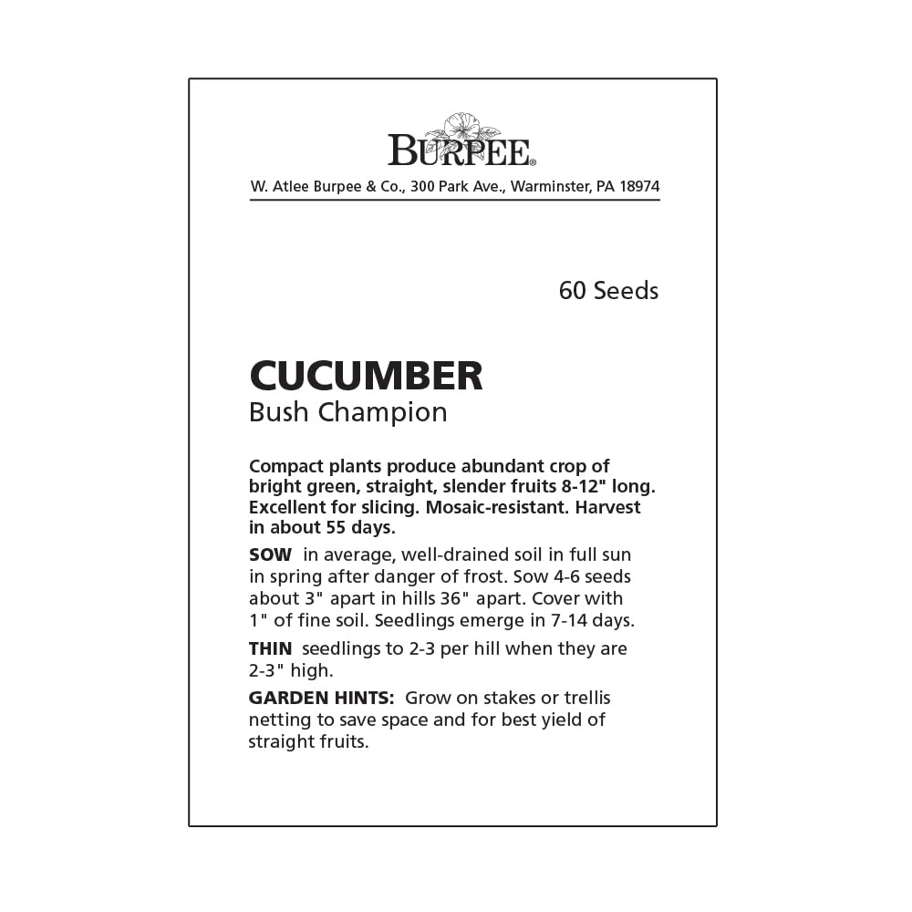 Burpee Bush Champion fresh green slicers offer flavorful salads and cooling crunch