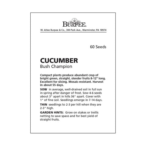 Burpee Bush Champion fresh green slicers offer flavorful salads and cooling crunch