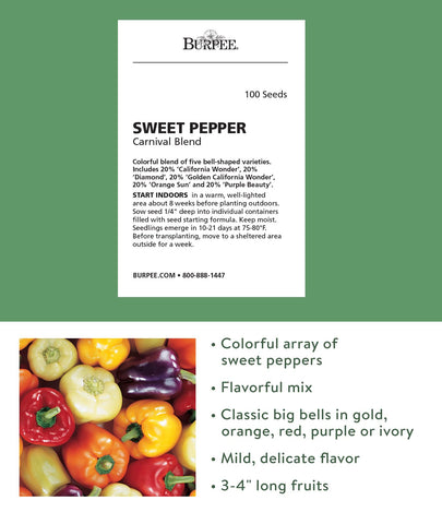 Burpee Carnival Mix California Wonder peppers show vibrant color for a colorful harvest.