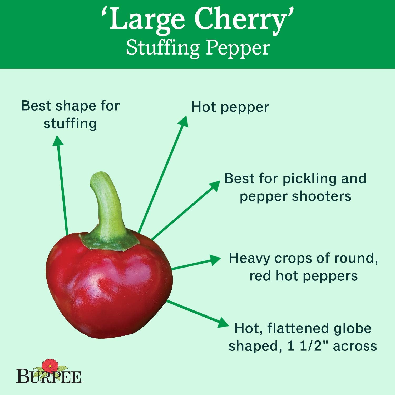 Burpee cherry hot peppers ripe fruit ready to harvest with vibrant color.