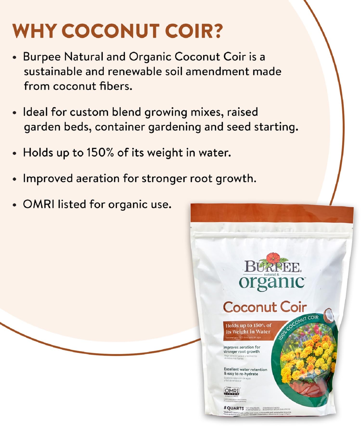 Burpee coconut coir used in raised beds supports aeration and steady moisture.