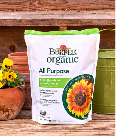 Burpee container plants fertilizer for pots and balcony gardens