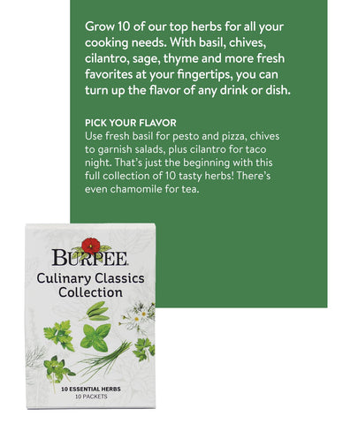 Burpee Culinary Classics Chives seeds ideal for garnish and creamy dishes