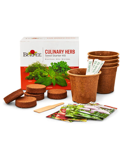 Burpee Culinary Garden packets ready for easy indoor herb planting