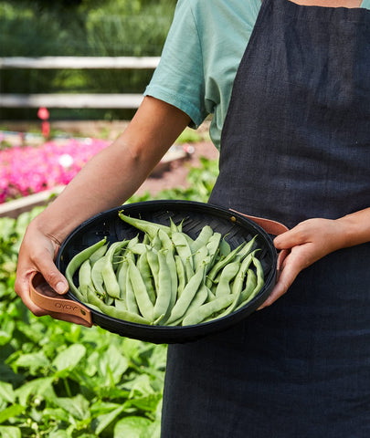 Container-friendly Burpee Early Italian bush beans growing in a small space