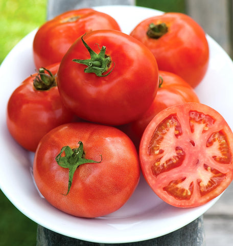 Close-up of Burpee Early Pick VF tomato fruits with rich color and solid flesh.