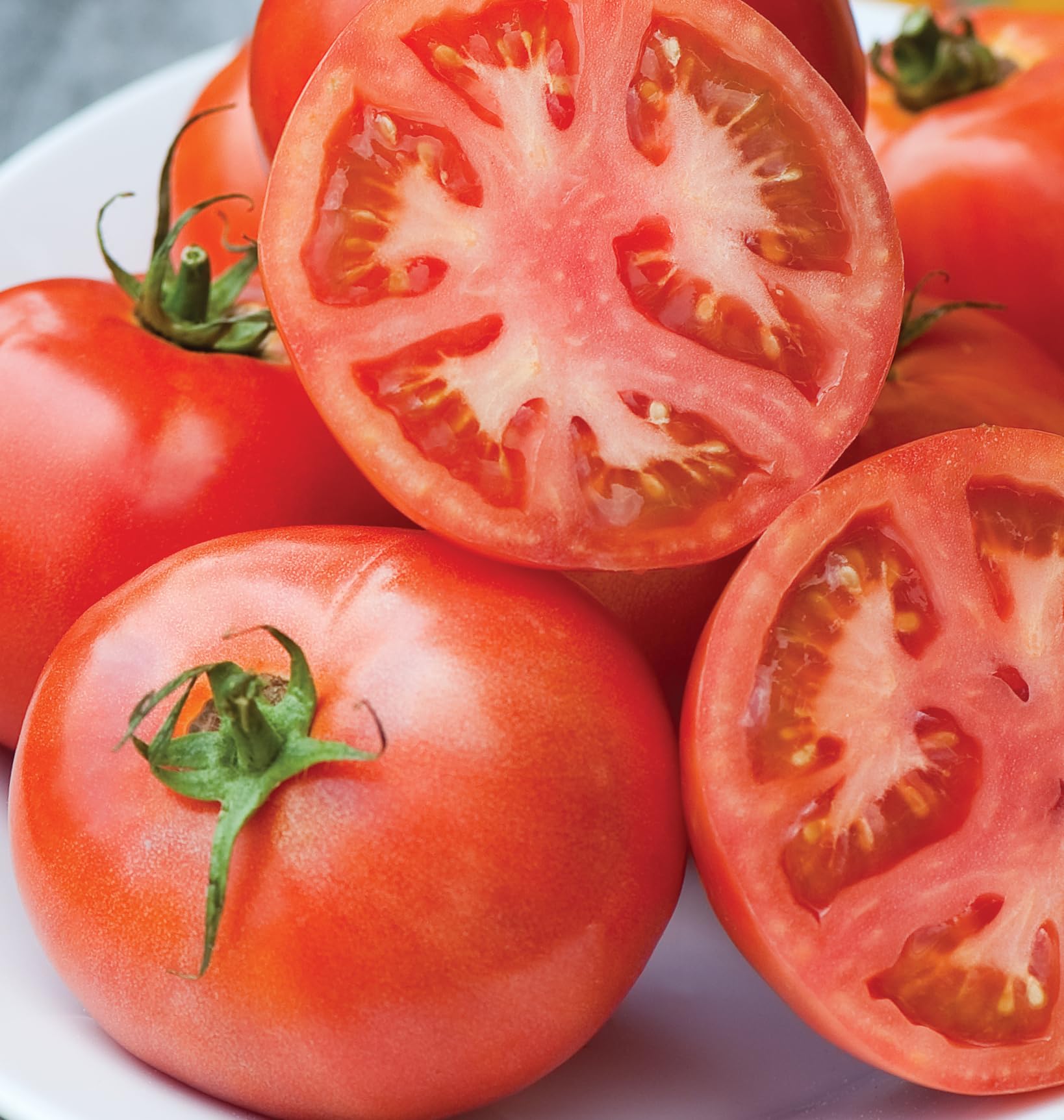 Burpee Early Pick VF tomato plants started indoors before outdoor transplant.