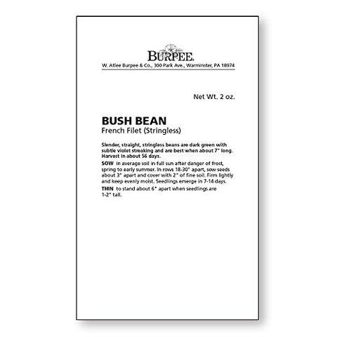 Burpee French Filet bush bean pods, dark green with purple streaks, ideal for French haricot vert.
