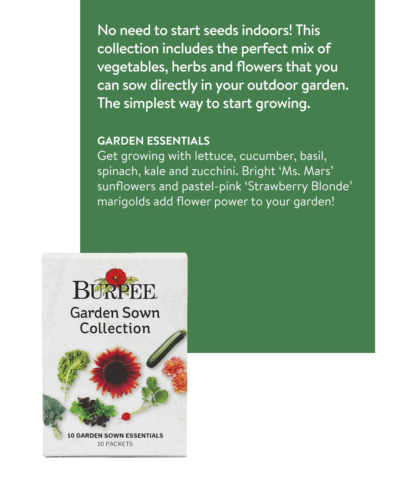 Burpee Garden Sown cucumber seeds packet for crunchy garden-to-table cucumbers