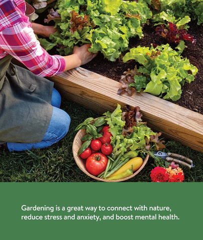 Burpee Garden Sown kale seeds packet for nutrient-rich greens