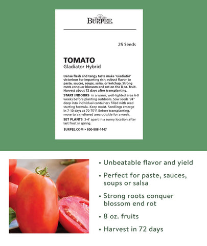 Burpee Gladiator tomatoes on vines promise dense flesh perfect for sauces and salsas.