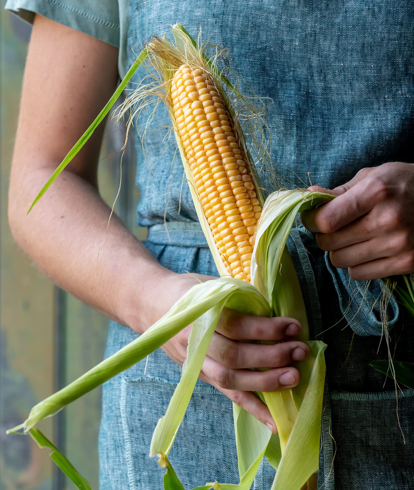 Burpee Golden Bantam seed packet signals heritage variety with classic flavor.