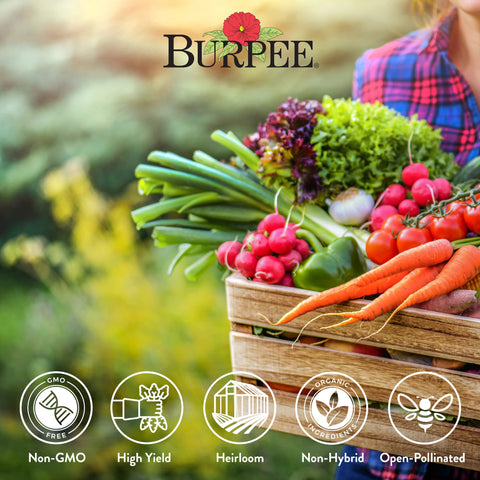 Burpee seed packets with growing instructions included helping beginners start seeds