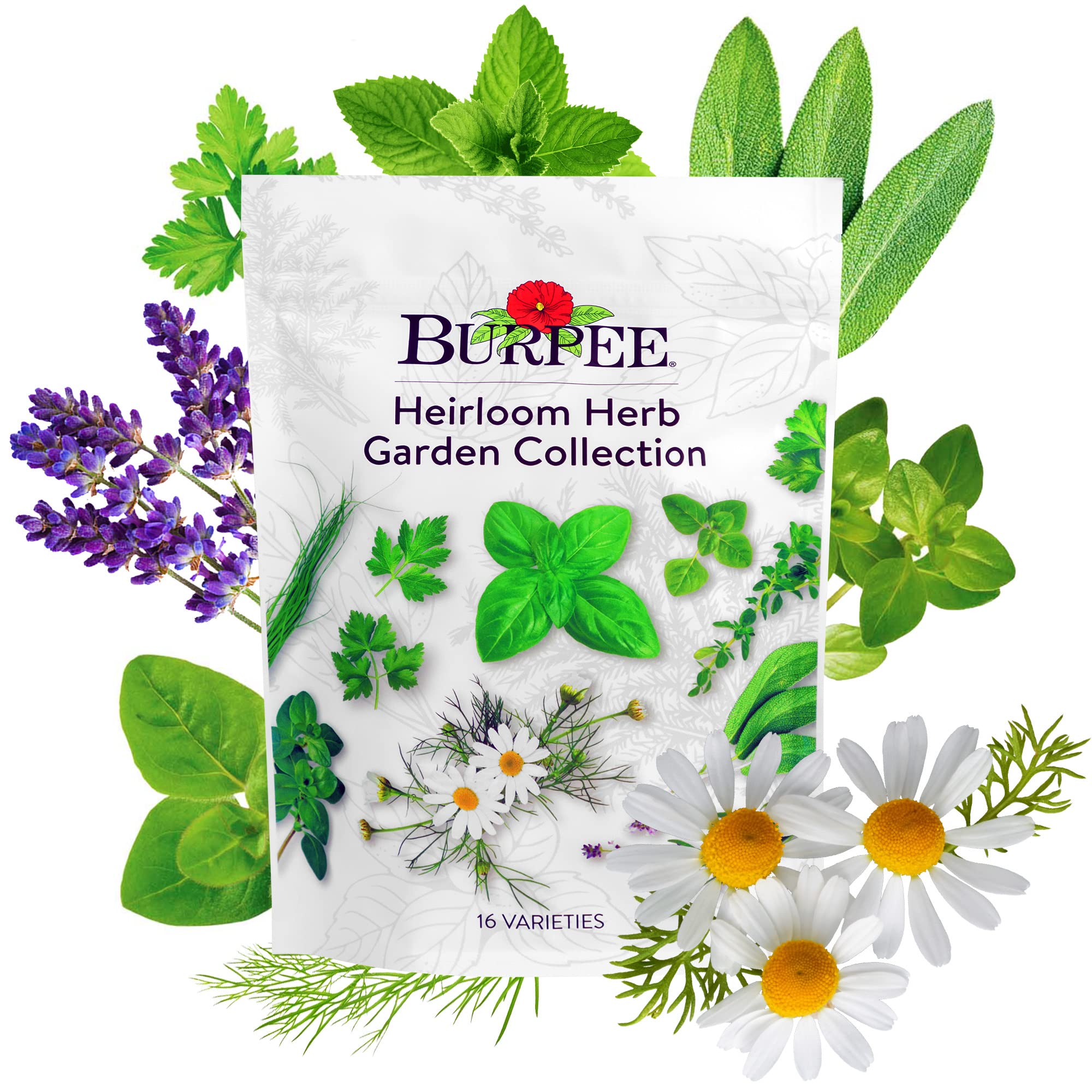 Burpee Heirloom herb seeds pack front shows 16 varieties for versatile cooking.