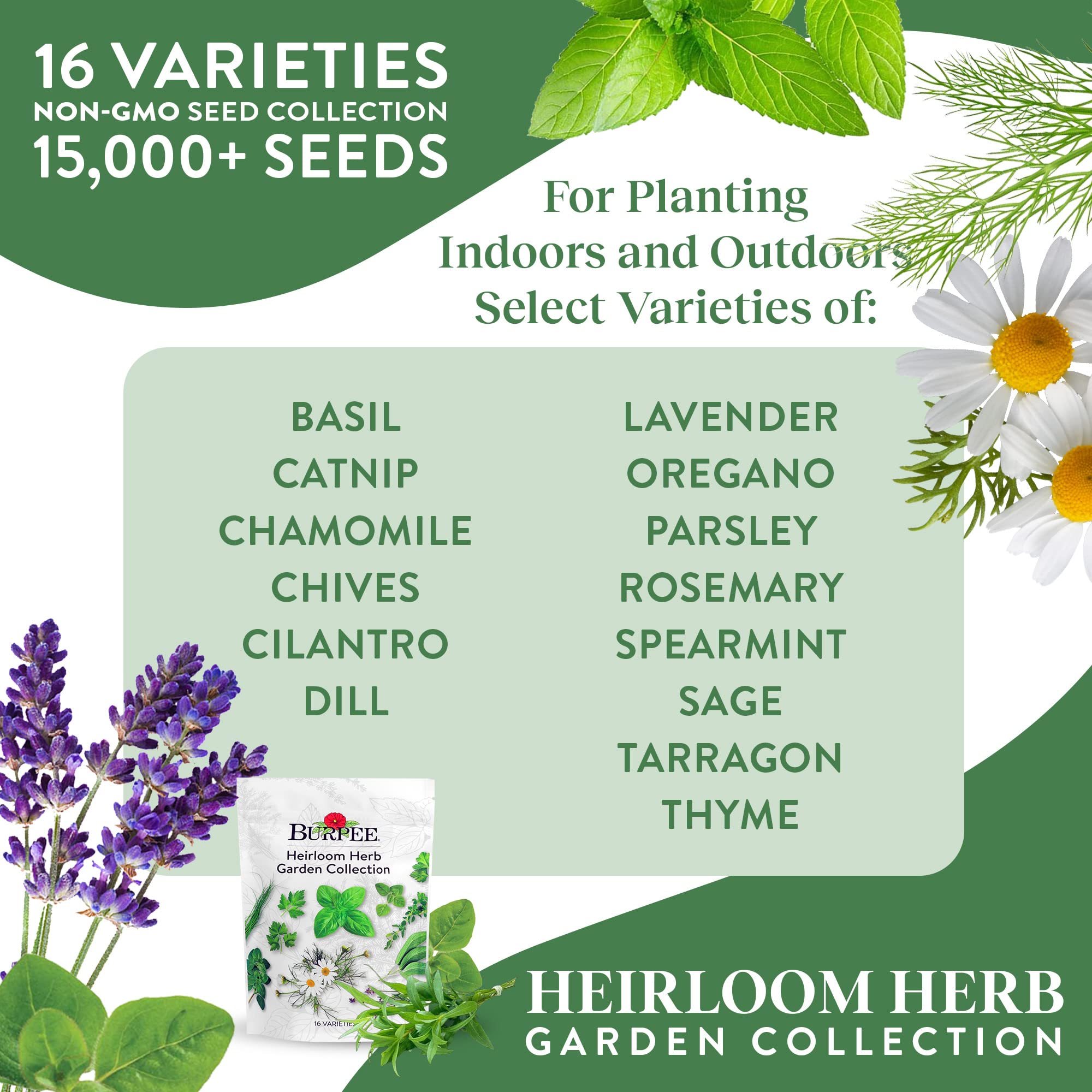 Burpee Heirloom herbs collection label closeup highlights non-GMO, trusted seed quality.