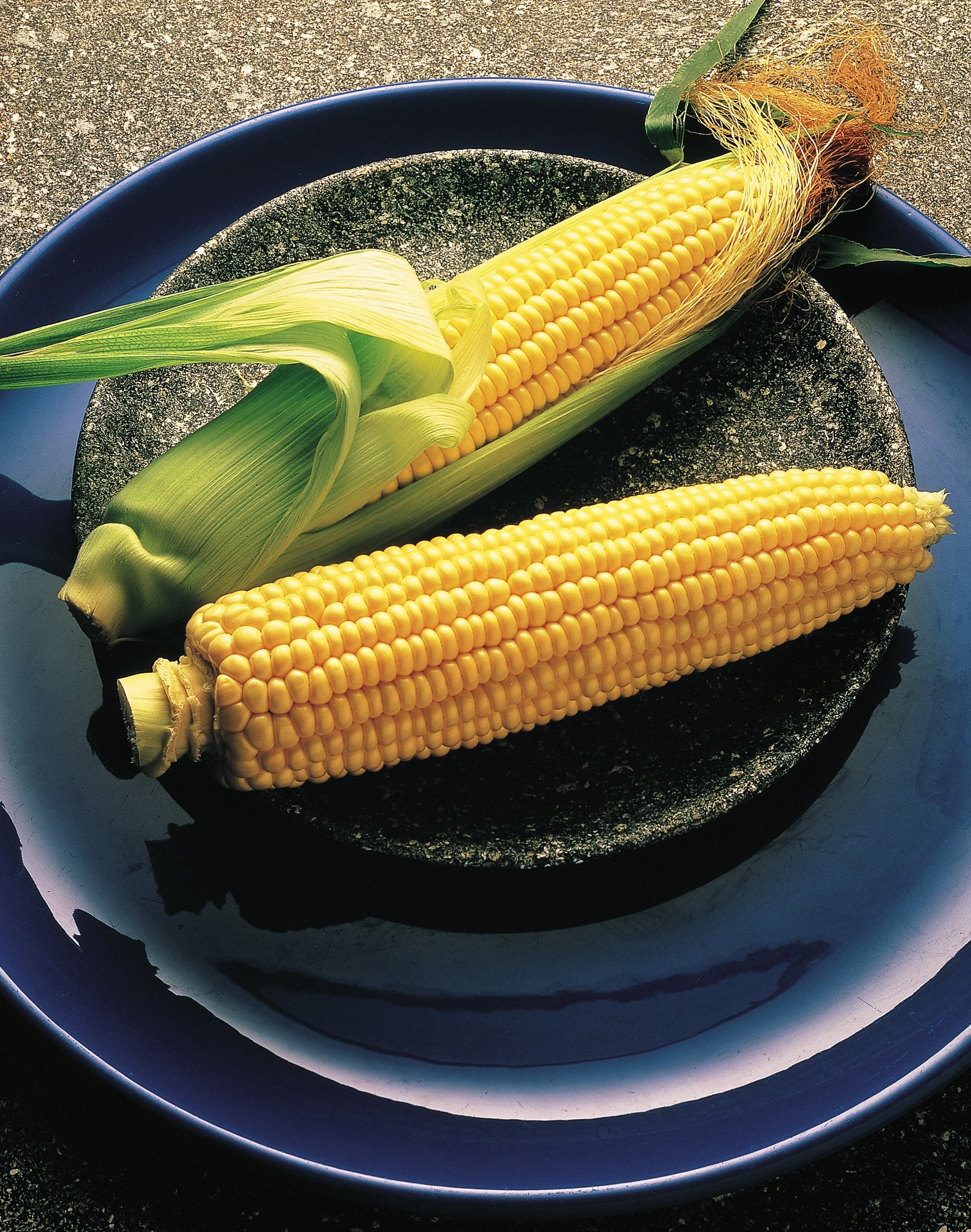 Burpee Illini Xtra Sweet corn plants in tidy rows for productive outdoor growing.