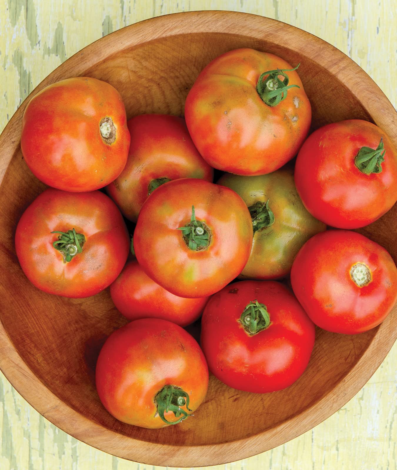 Burpee indeterminate tomato plants demonstrating continuous production