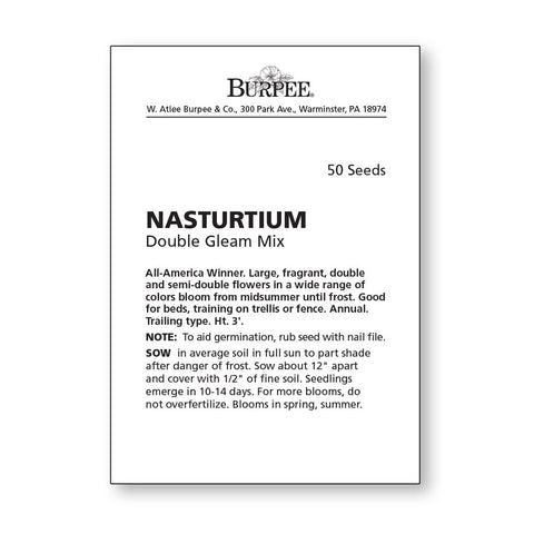 Burpee nasturtium provides bold color as ground cover in garden beds.