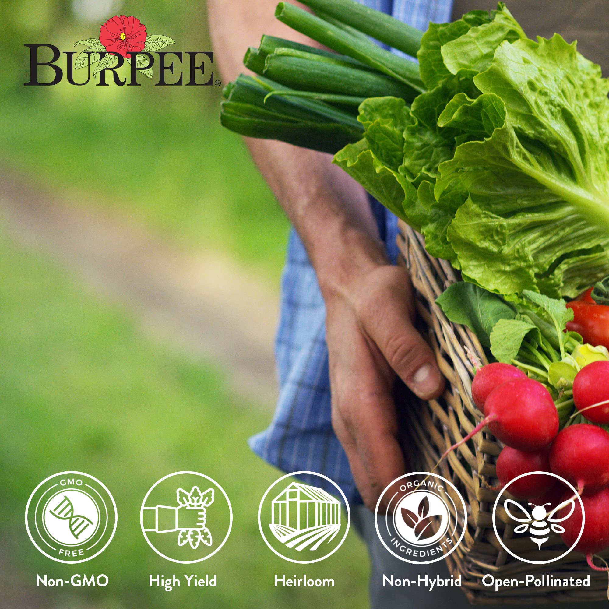Burpee non-GMO seed packets emphasize high-quality gardening results.