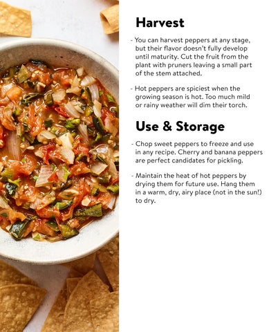 Burpee Pepperoncini Greek peppers enhance fresh meals and recipes.
