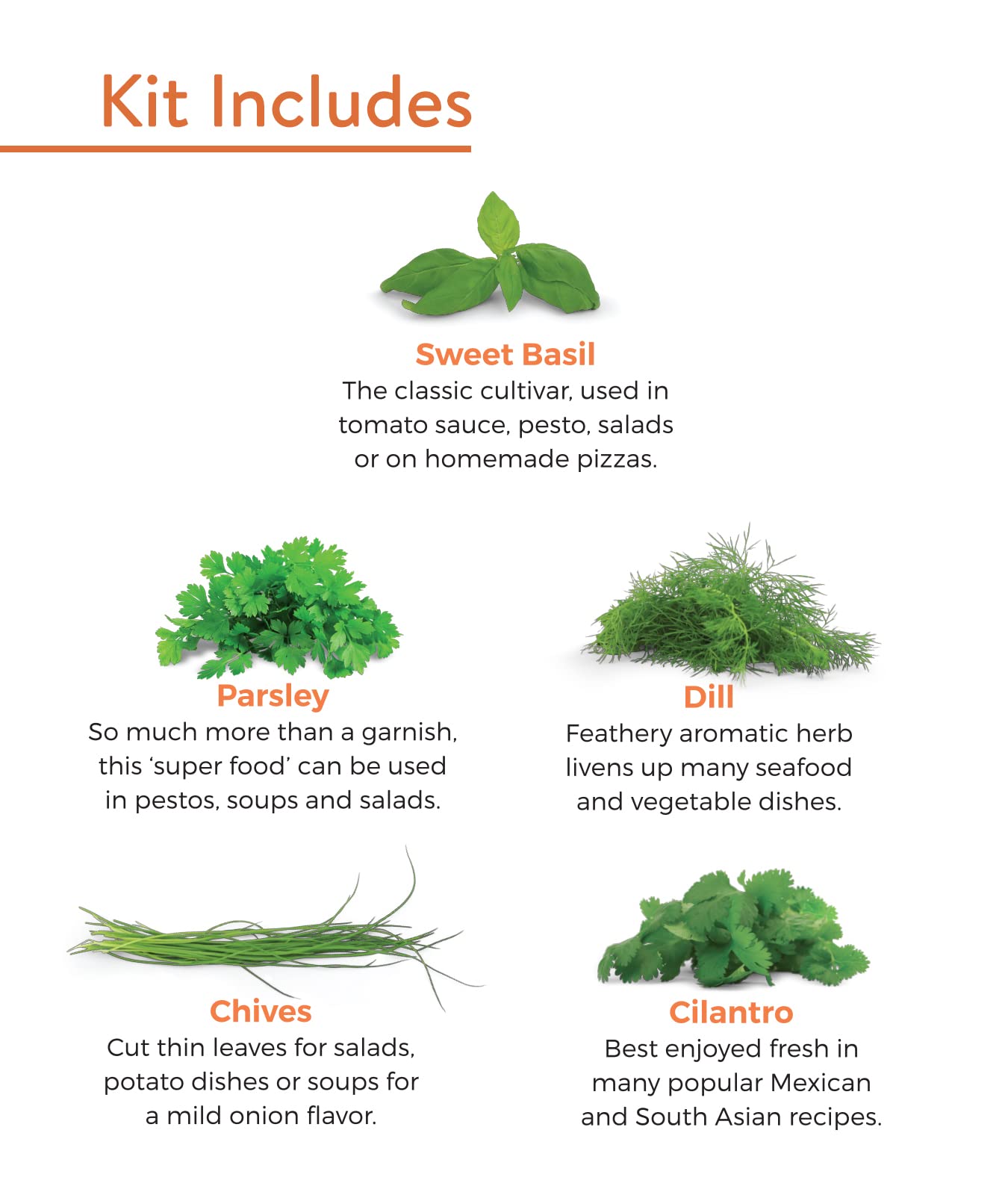 Burpee plant markers organized with herb seedlings