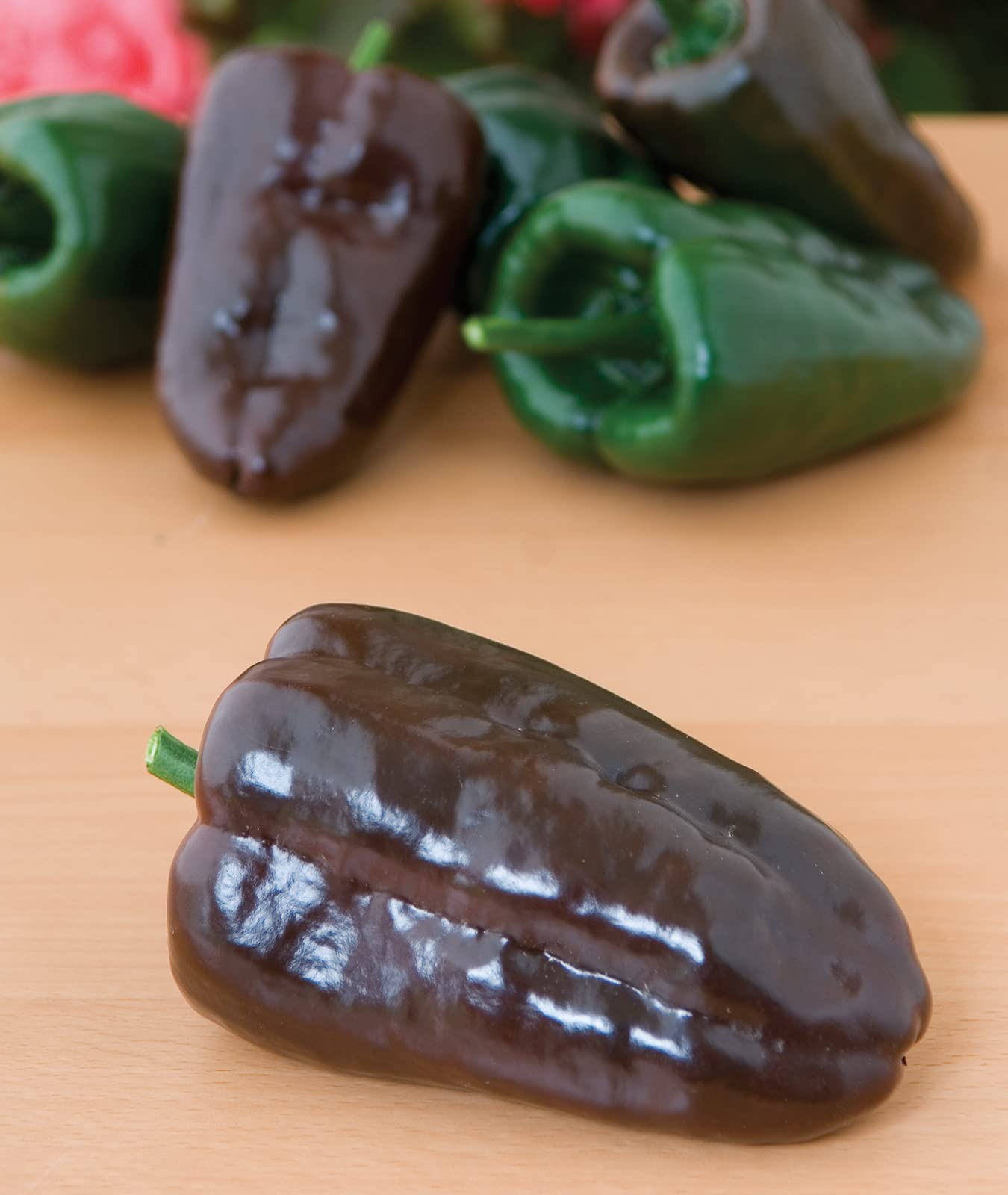 Stuffed poblano peppers prepared from Burpee seeds