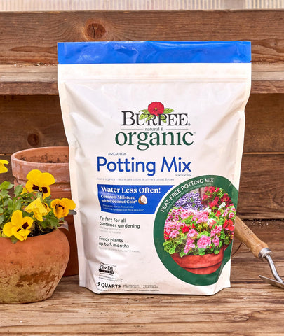 Burpee Potting Mix plant feeding timing close-up highlights instant feeding and slow-release benefits