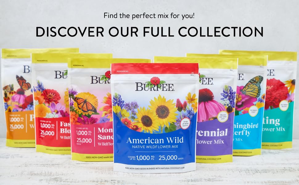 Burpee seed coverage supports up to 1,000 square feet of blooms.