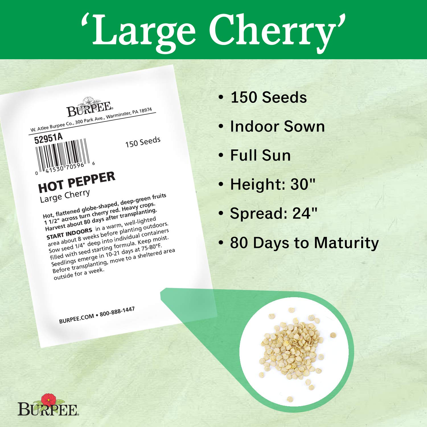 Burpee seed-start kit image supporting indoor sowing and vigorous germination.