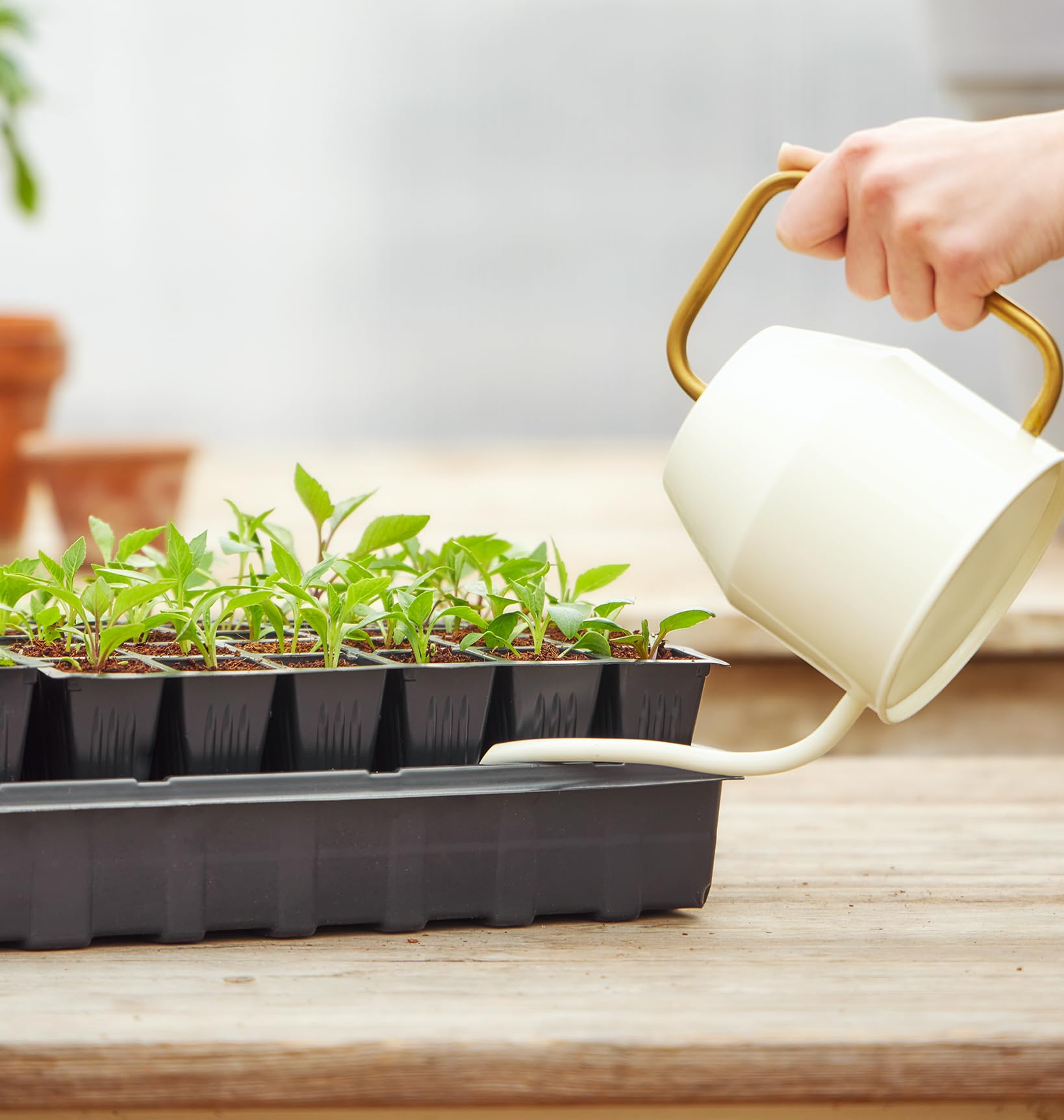Burpee seed-starting diagrams assist tracking seed varieties in cells