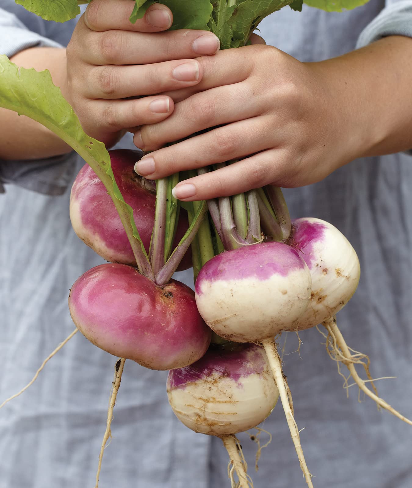 Burpee seeds pairing with a starter kit guides new gardeners to a healthy garden.