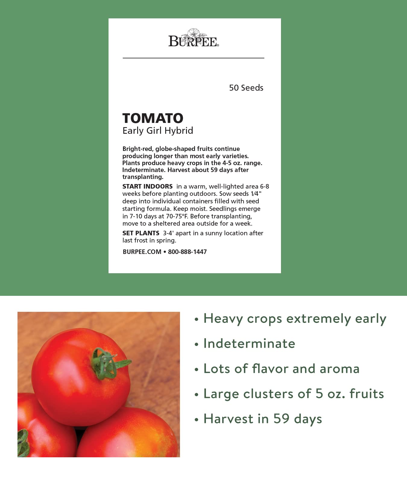 Burpee seed starting kit image showing reliable indoor germination