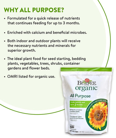 Burpee seed starting plant food supports healthy seedling development in trays