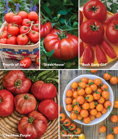 Burpee seed starting tip guide aids indoor sowing for a successful start.