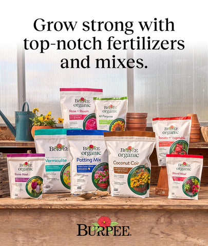 Burpee soil microbes and nutrients support soil health and vigor