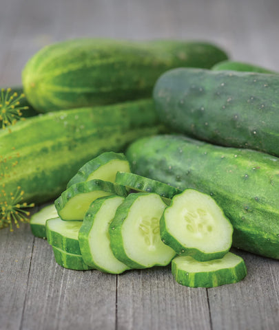Burpee Straight Eight seeds in hand highlight high-quality, non-GMO seed selection.