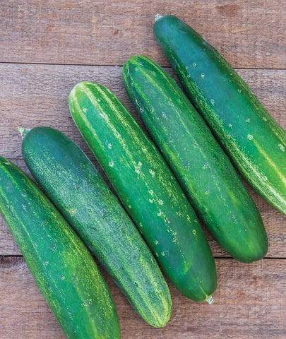 Burpee Straight Eight seed pack with non-GMO heirloom cucumbers for home gardens.
