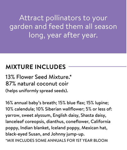 Burpee sun-loving wildflowers for garden beds — easy to sow and enjoy outdoors.